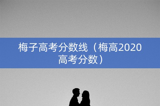 梅子高考分数线（梅高2020高考分数）