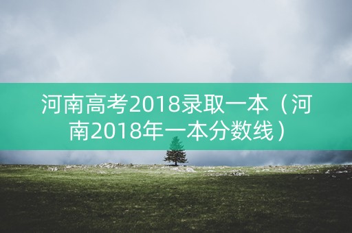 河南高考2018录取一本（河南2018年一本分数线）