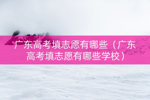 广东高考填志愿有哪些（广东高考填志愿有哪些学校）