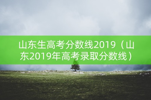 山东生高考分数线2019（山东2019年高考录取分数线）