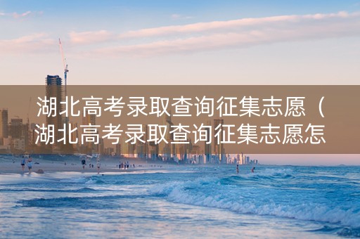 湖北高考录取查询征集志愿（湖北高考录取查询征集志愿怎么填）