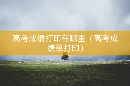 高考成绩打印在哪里（高考成绩单打印）