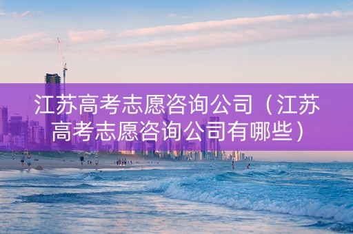 江苏高考志愿咨询公司（江苏高考志愿咨询公司有哪些）