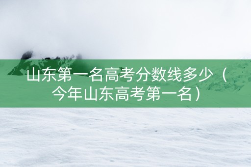 山东第一名高考分数线多少（今年山东高考第一名）
