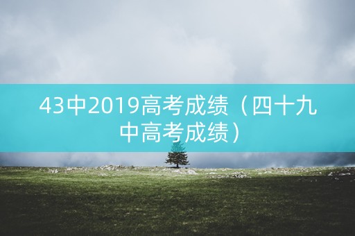 43中2019高考成绩（四十九中高考成绩）