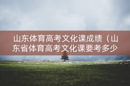 山东体育高考文化课成绩（山东省体育高考文化课要考多少分上二本）