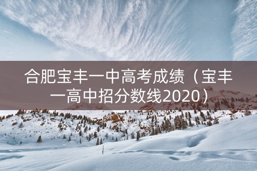 合肥宝丰一中高考成绩（宝丰一高中招分数线2020）