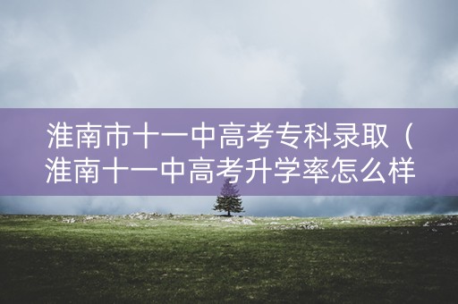 淮南市十一中高考专科录取（淮南十一中高考升学率怎么样）