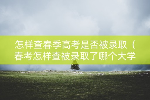 怎样查春季高考是否被录取（春考怎样查被录取了哪个大学）