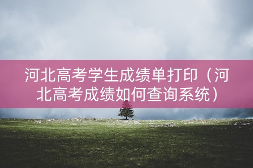 河北高考学生成绩单打印（河北高考成绩如何查询系统）