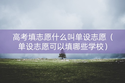 高考填志愿什么叫单设志愿（单设志愿可以填哪些学校）