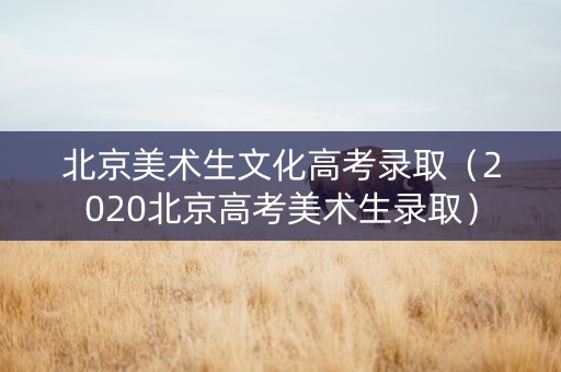 北京美术生文化高考录取（2020北京高考美术生录取）