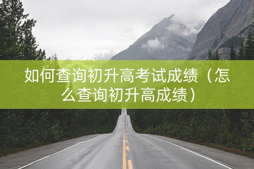 如何查询初升高考试成绩（怎么查询初升高成绩）