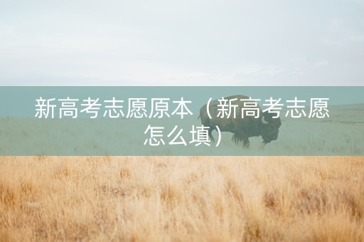 新高考志愿原本（新高考志愿怎么填）