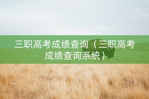三职高考成绩查询（三职高考成绩查询系统）