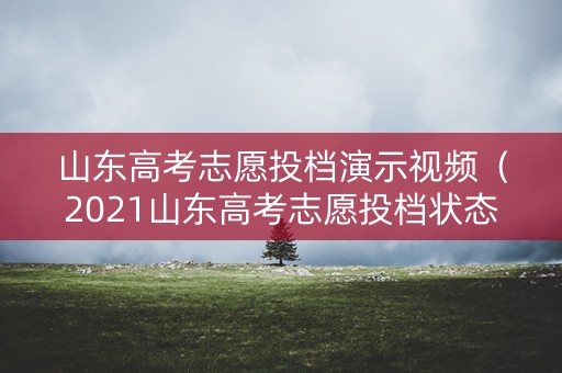 山东高考志愿投档演示视频（2021山东高考志愿投档状态查询）