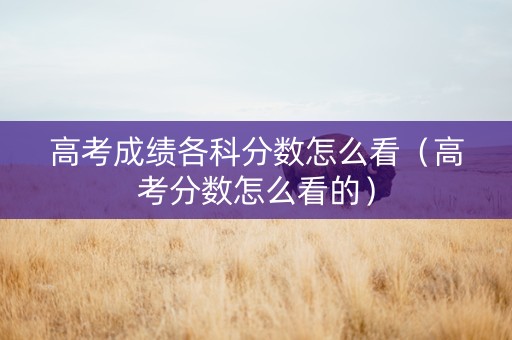 高考成绩各科分数怎么看（高考分数怎么看的）