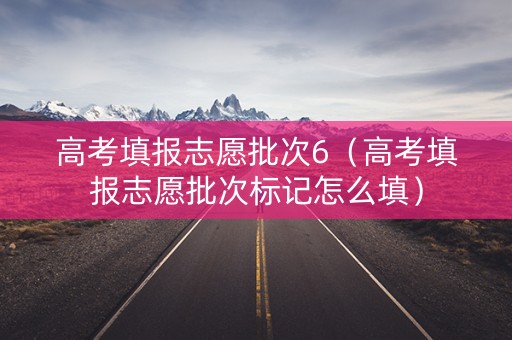 高考填报志愿批次6（高考填报志愿批次标记怎么填）