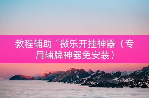 教程辅助“微乐开挂神器（专用辅牌神器免安装）