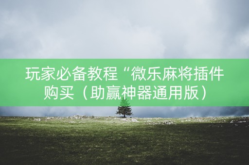 玩家必备教程“微乐麻将插件购买（助赢神器通用版）