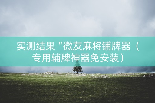 实测结果“微友麻将铺牌器（专用辅牌神器免安装）