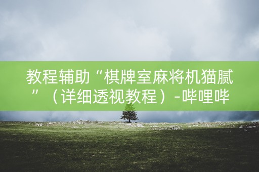 教程辅助“棋牌室麻将机猫腻”（详细透视教程）-哔哩哔哩