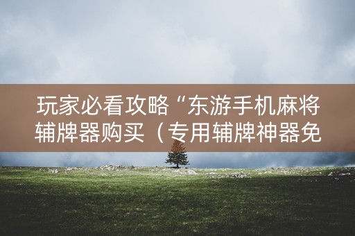 玩家必看攻略“东游手机麻将辅牌器购买（专用辅牌神器免安装）