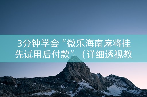 3分钟学会“微乐海南麻将挂先试用后付款”（详细透视教程）-哔哩哔哩