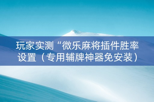 玩家实测“微乐麻将插件胜率设置（专用辅牌神器免安装）