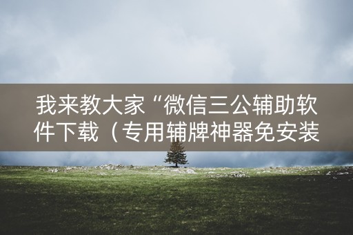 我来教大家“微信三公辅助软件下载（专用辅牌神器免安装）