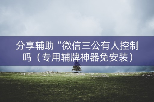 分享辅助“微信三公有人控制吗（专用辅牌神器免安装）