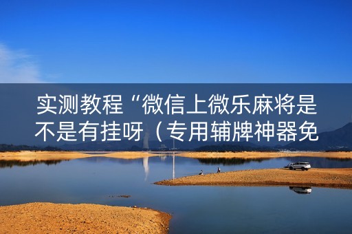 实测教程“微信上微乐麻将是不是有挂呀（专用辅牌神器免安装）