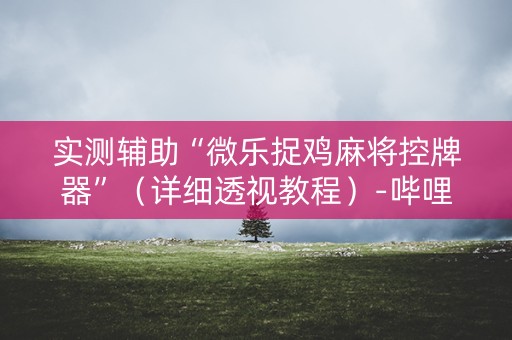 实测辅助“微乐捉鸡麻将控牌器”（详细透视教程）-哔哩哔哩