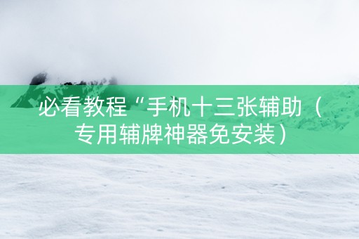 必看教程“手机十三张辅助（专用辅牌神器免安装）