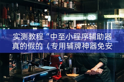实测教程“中至小程序辅助器真的假的（专用辅牌神器免安装）