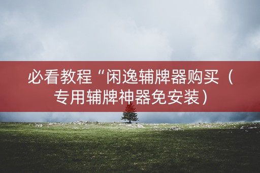 必看教程“闲逸辅牌器购买（专用辅牌神器免安装）