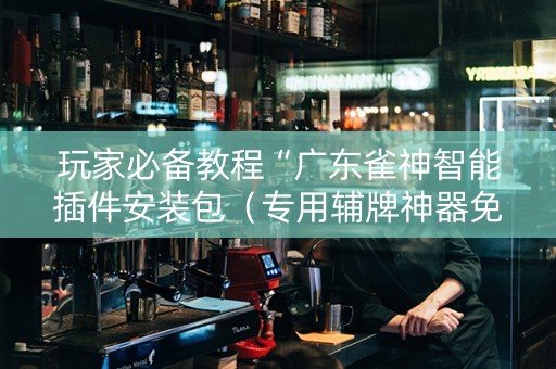 玩家必备教程“广东雀神智能插件安装包（专用辅牌神器免安装）