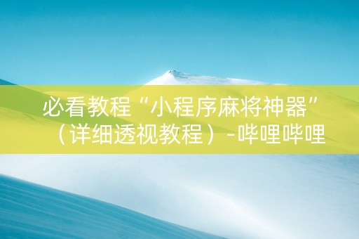 必看教程“小程序麻将神器”（详细透视教程）-哔哩哔哩