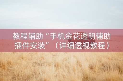 教程辅助“手机金花透明辅助插件安装”（详细透视教程）-哔哩哔哩