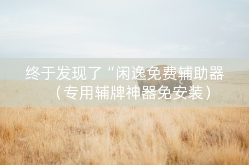 终于发现了“闲逸免费辅助器（专用辅牌神器免安装）
