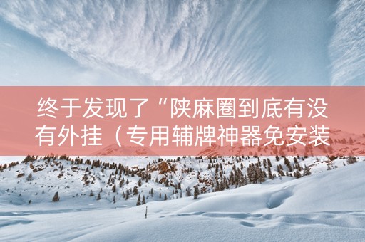 终于发现了“陕麻圈到底有没有外挂（专用辅牌神器免安装）