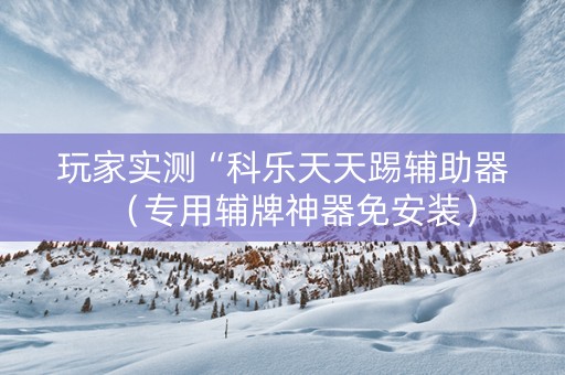 玩家实测“科乐天天踢辅助器（专用辅牌神器免安装）