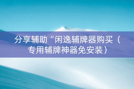分享辅助“闲逸辅牌器购买（专用辅牌神器免安装）