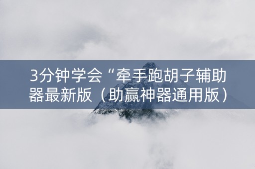 3分钟学会“牵手跑胡子辅助器最新版（助赢神器通用版）