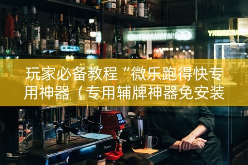 玩家必备教程“微乐跑得快专用神器（专用辅牌神器免安装）