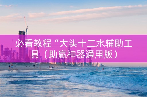 必看教程“大头十三水辅助工具（助赢神器通用版）
