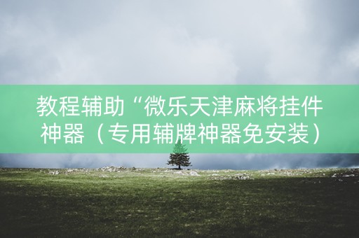 教程辅助“微乐天津麻将挂件神器（专用辅牌神器免安装）