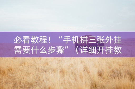 必看教程！“手机拼三张外挂需要什么步骤”（详细开挂教程）-哔哩哔哩