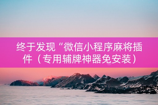 终于发现“微信小程序麻将插件（专用辅牌神器免安装）