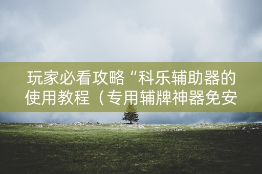 玩家必看攻略“科乐辅助器的使用教程（专用辅牌神器免安装）
